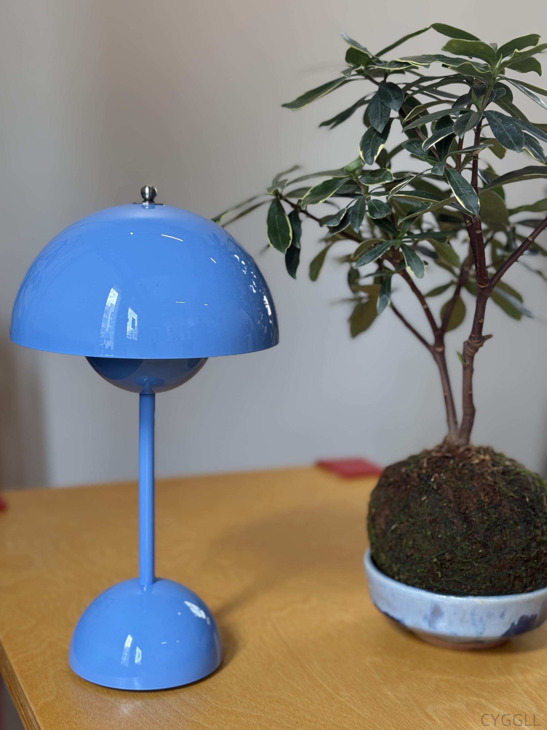 Modern Flower Bud Lamp 12" Cordless Touch Lamp Dimmable 2600mAh Rechargeable Desk Lamp Nordic Minimalist Mushroom Lamp Nightstand Bedside Lamp for Bedroom Living Room(Chrome) No Reading Light